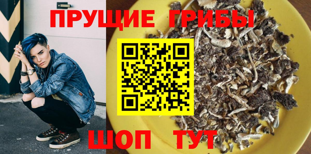 Саратов  Псилоцибиновые грибы мицелий  Вход с VPN 