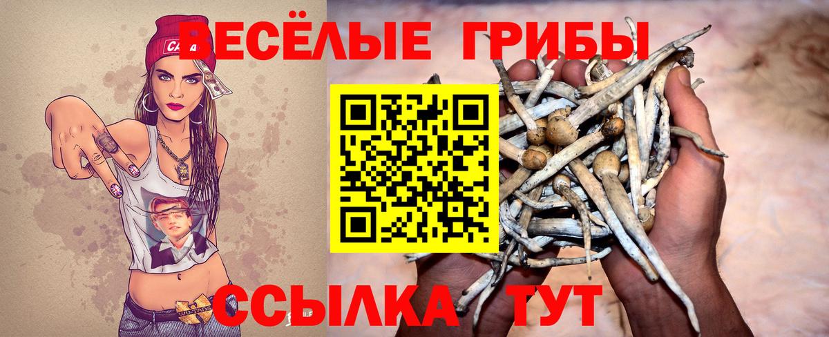 Псилоцибиновые грибы Cubensis Саратов